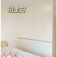 铂金白案例展示