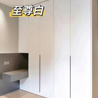 至 尊 白案例展示