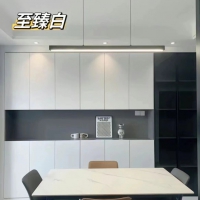 至臻白案例展示